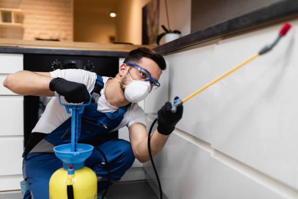 Best Pest Control Cost  in Broadmoor, CA