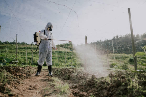 Best Best Pest Control Companies  in Broadmoor, CA