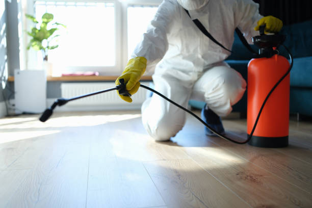 Professional Pest Control in Broadmoor, CA