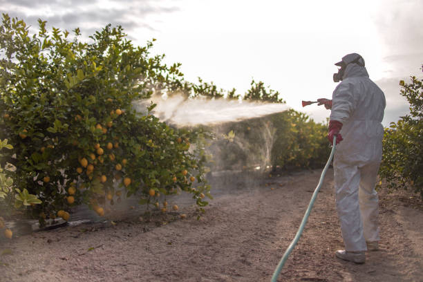Best Residential Pest Control  in Broadmoor, CA