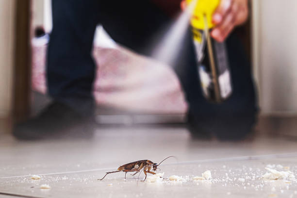 Best Pest Prevention Services  in Broadmoor, CA