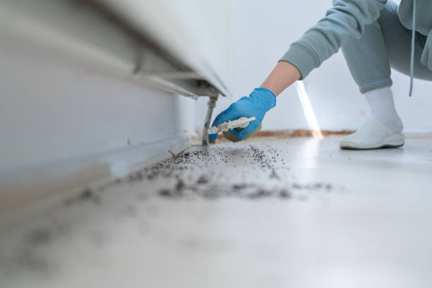 Pest Control Cost in Broadmoor, CA