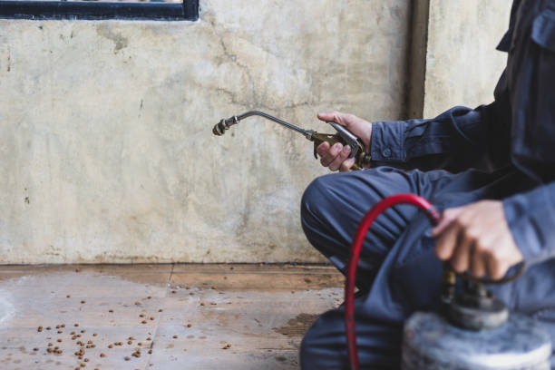 Best Termite Control Services  in Broadmoor, CA